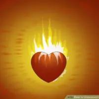 A heart, representing a heart made new